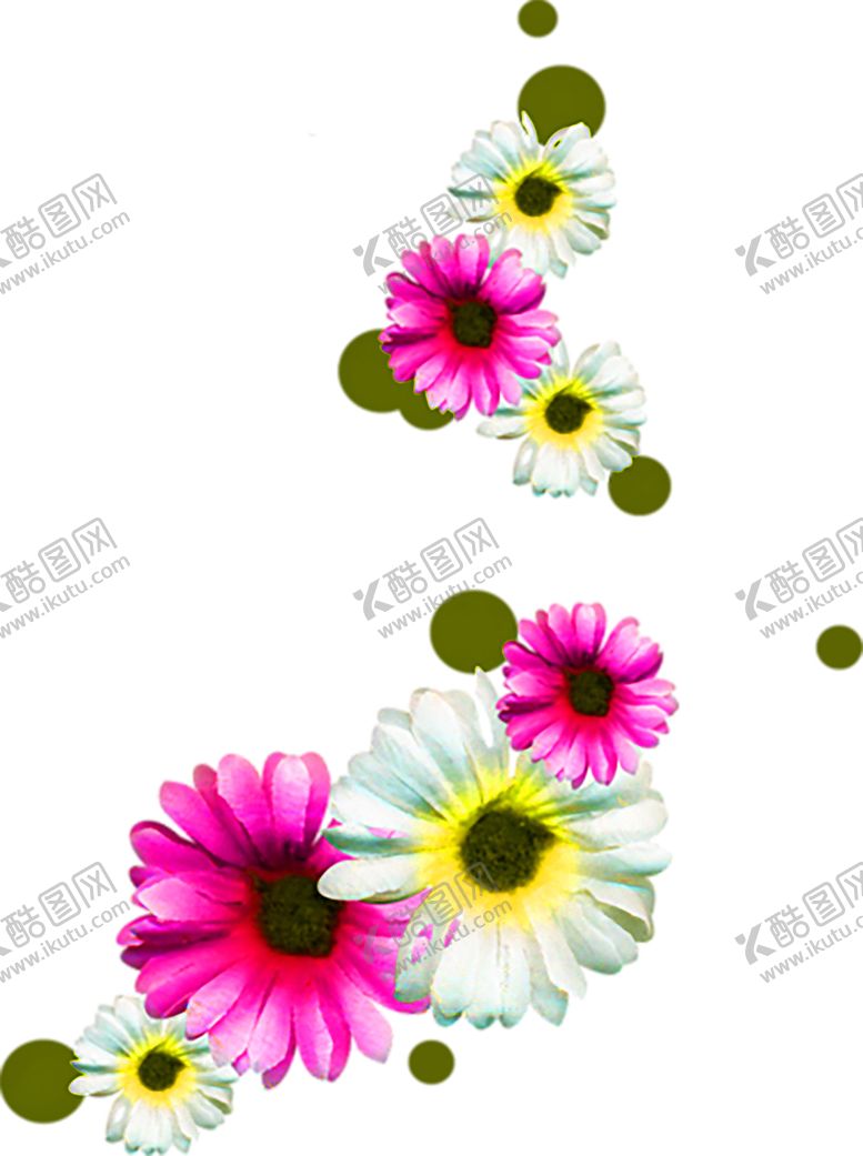 编号：35774009210725373523【酷图网】源文件下载-花素材