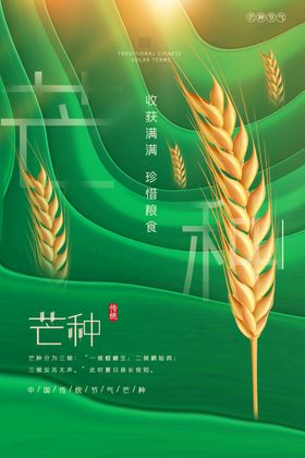 芒种海报