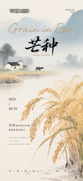 传统农耕文化芒种主题海报
