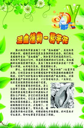 编号：94260509231842561426【酷图网】源文件下载-植物科普 大王花