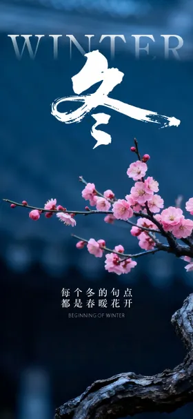 传统二十四节气立冬小雪大雪