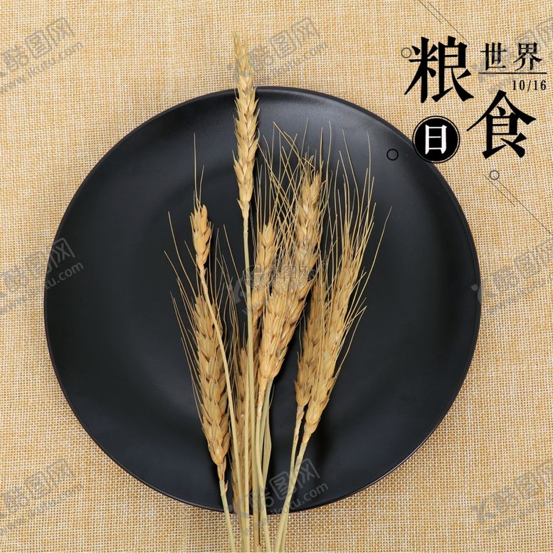 编号：85526412050027042458【酷图网】源文件下载-世界粮食日珍惜杜绝浪费