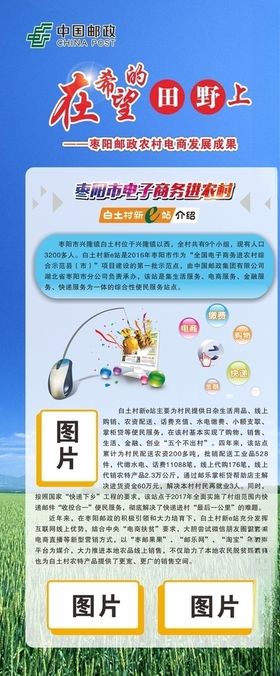邮政农村电商发展成果
