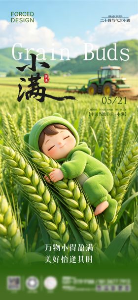 小满节气海报