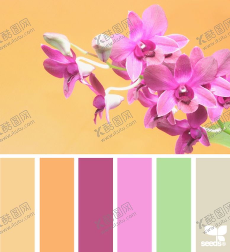 编号：97480707031636263106【酷图网】源文件下载-花朵
