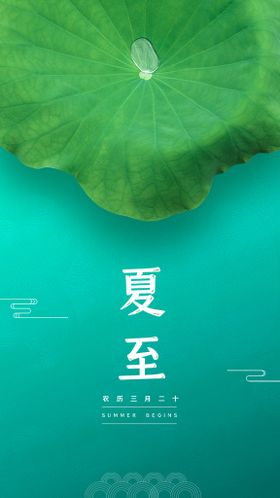 夏至节日海报原创设计