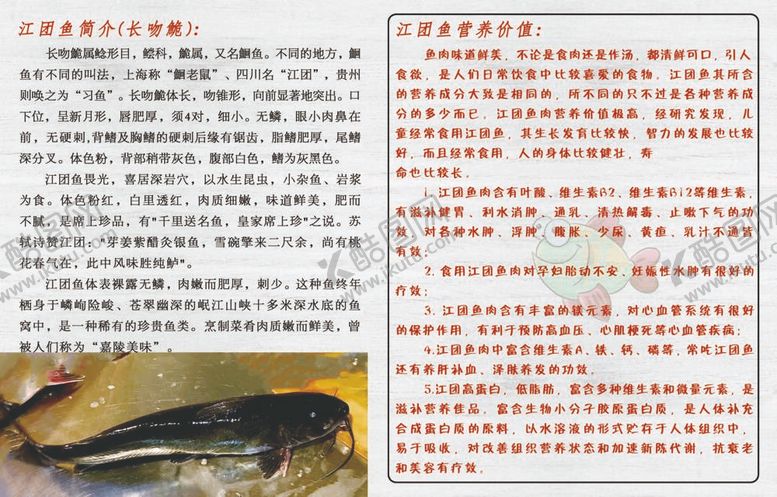 编号：29859810211303586771【酷图网】源文件下载-江团鱼