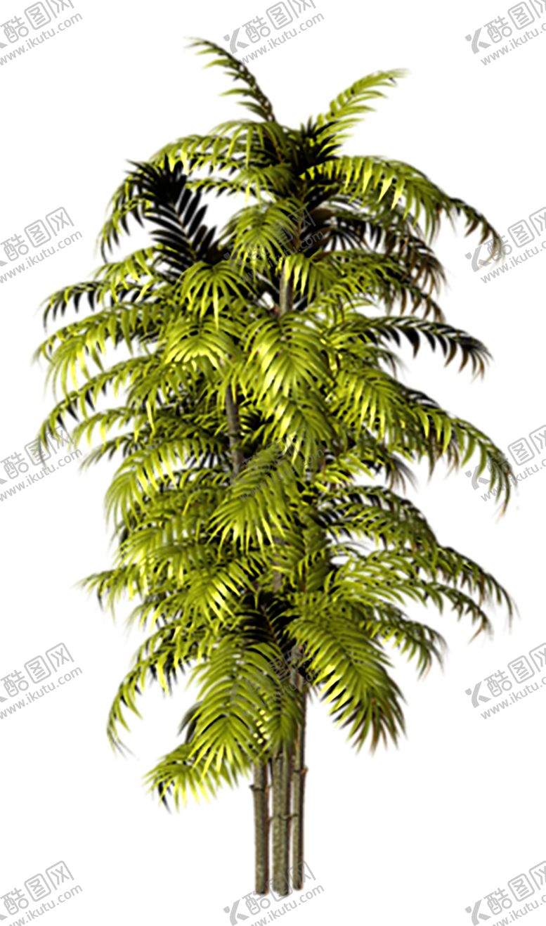 编号：56420310312041053896【酷图网】源文件下载-植物