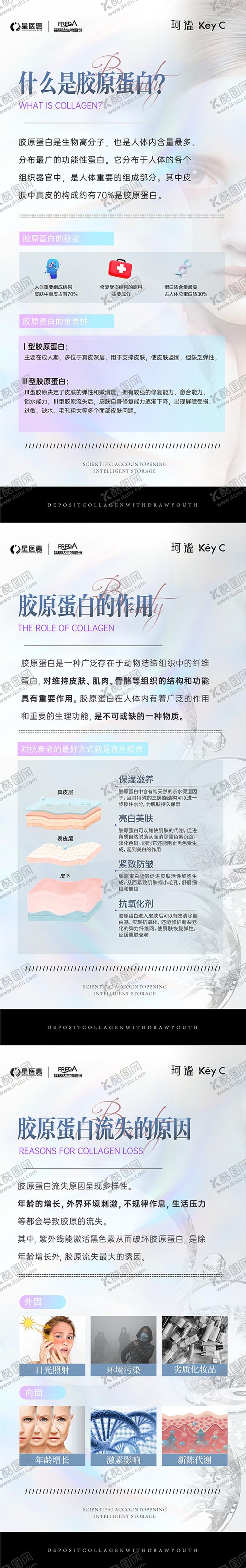 编号：12754211191942317626【酷图网】源文件下载-胶原蛋白科普