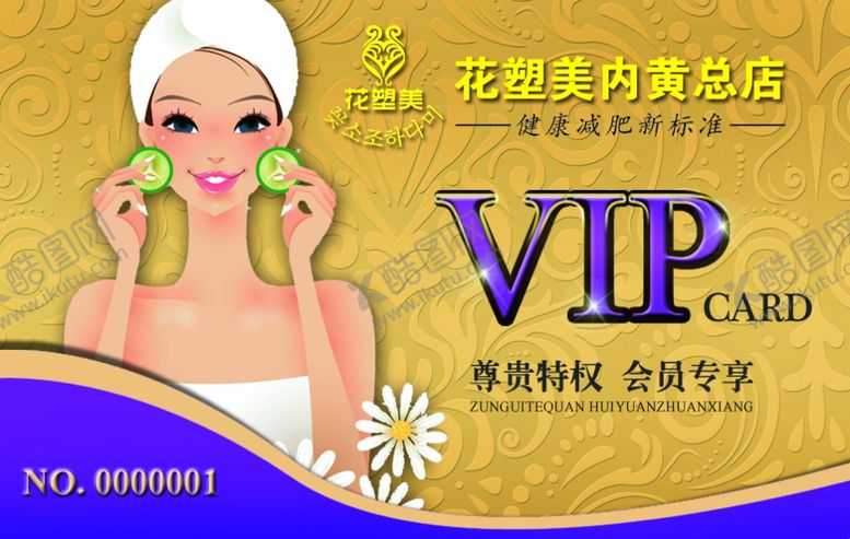 编号：63736809150250432966【酷图网】源文件下载-会员卡