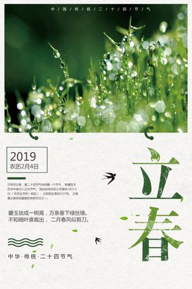淡雅立春清新海报