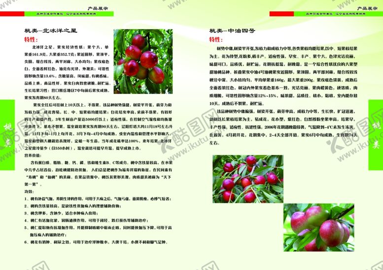 编号：61186004212005554803【酷图网】源文件下载-农业画册