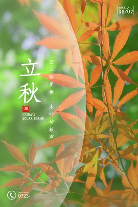 金秋创意节气海报