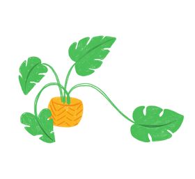 植物插画