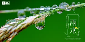 雨水海报朋友圈飞机稿地产稿
