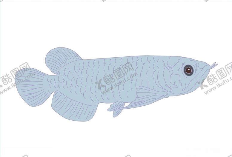 编号：62977909260722057977【酷图网】源文件下载-银龙鱼