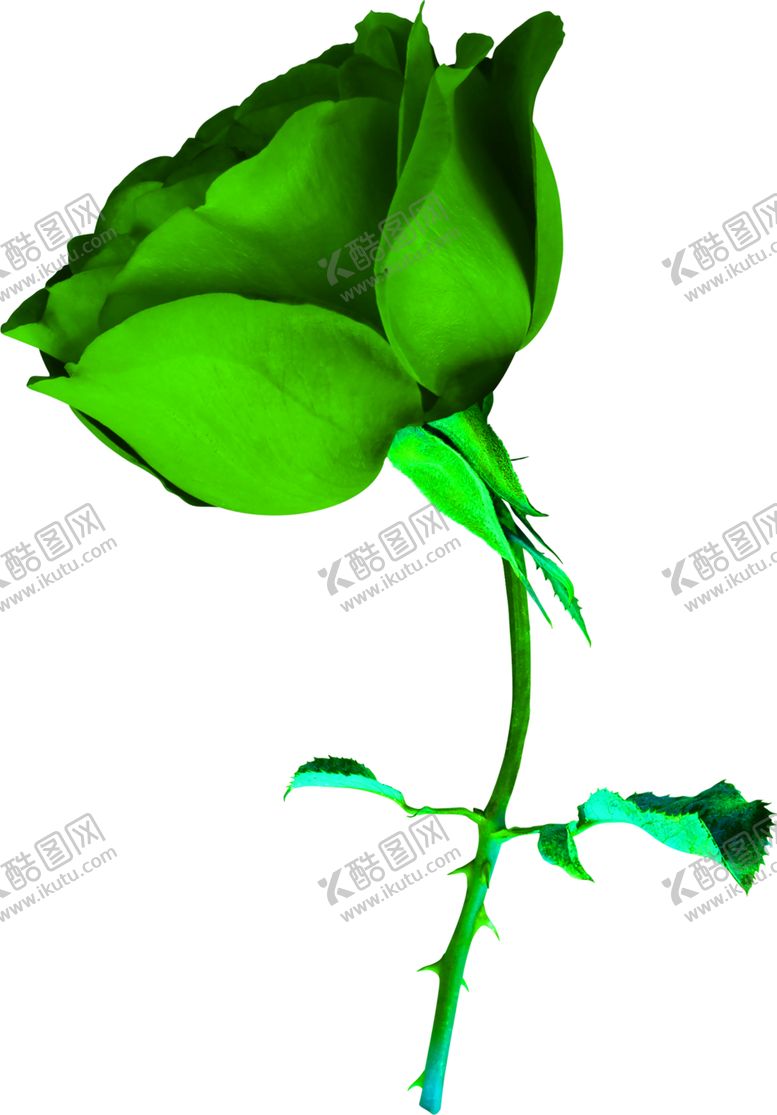 编号：56826407130254124446【酷图网】源文件下载-花素材