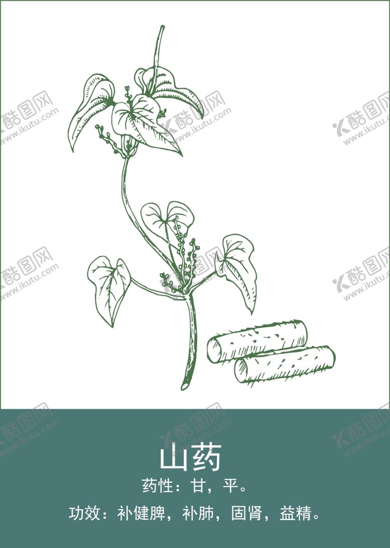 编号：89375101140936281107【酷图网】源文件下载-中药手绘插画