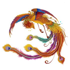 国潮凤凰插画