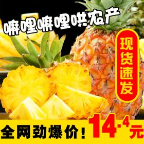 水果主图