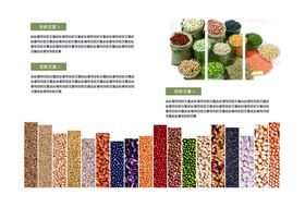 五谷杂粮海报谷物豆豆素材