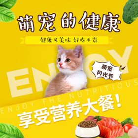 猫粮主图