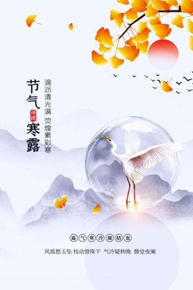 寒露海报活动节气宣传