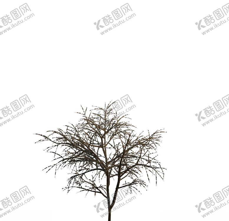 编号：96031910112213505892【酷图网】源文件下载-树木