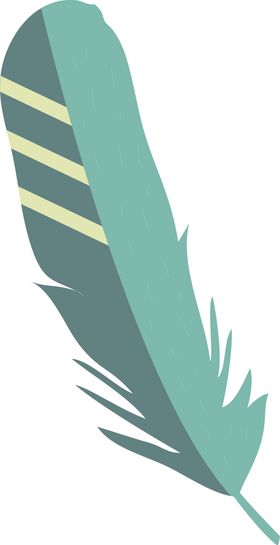 羽毛