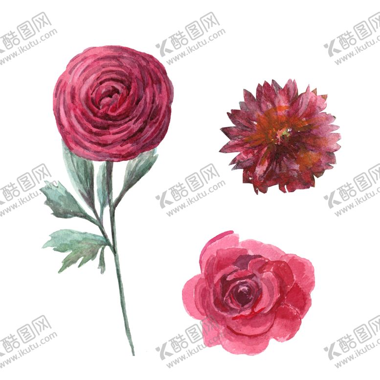 编号：45130107051837185578【酷图网】源文件下载-手绘花瓣
