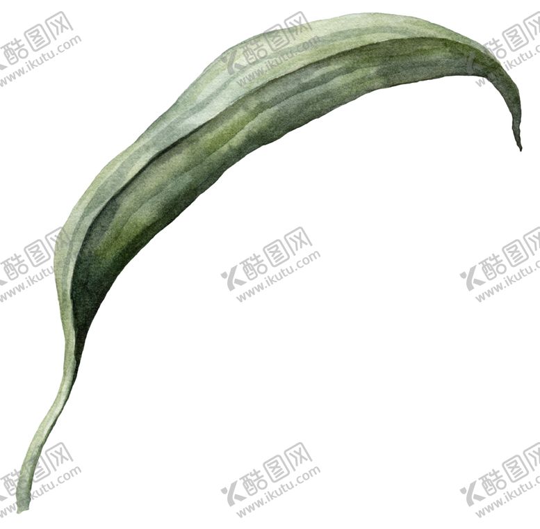 编号：78337306281414531495【酷图网】源文件下载-植物花朵装饰图案