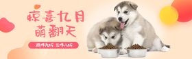 宠物狗粮