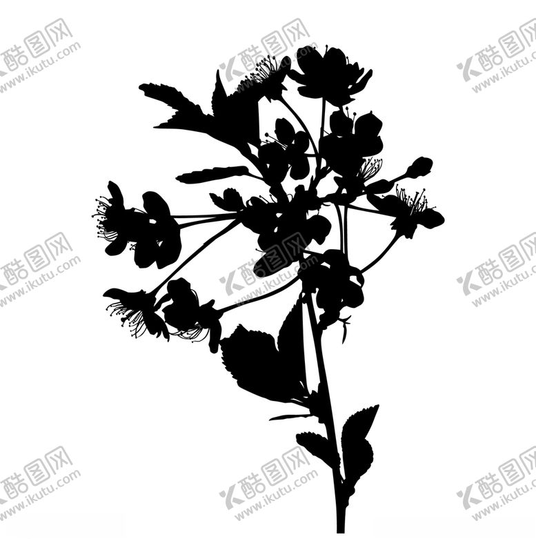 编号：25428909130643458742【酷图网】源文件下载-花枝