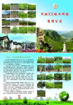林业科技有限公司宣传页