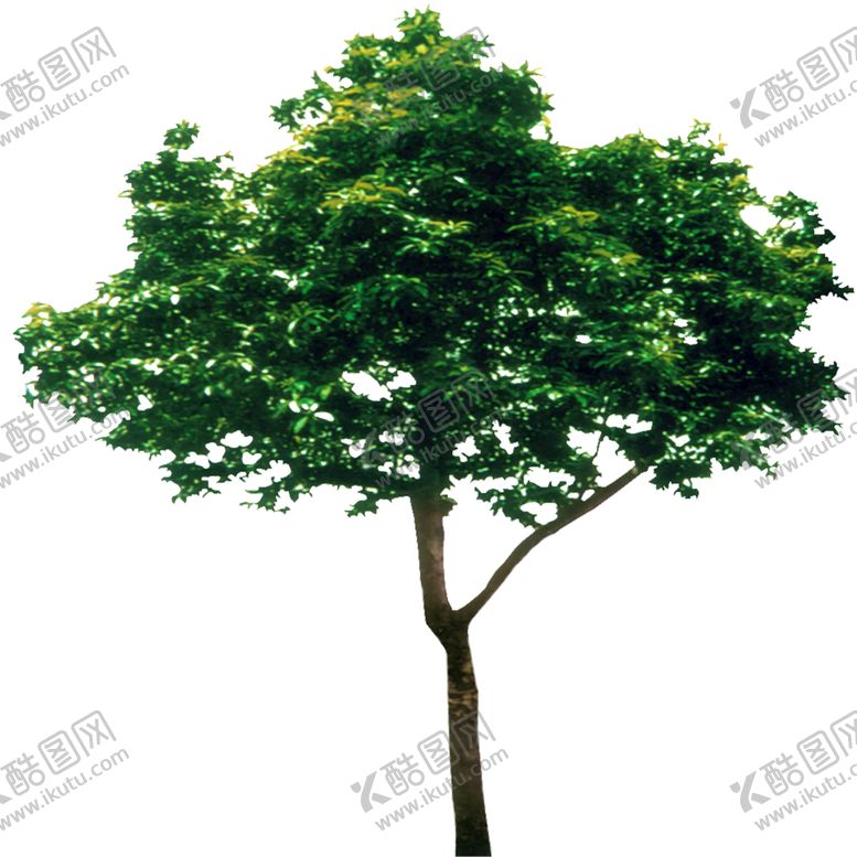 编号：93440510012324529571【酷图网】源文件下载-绿色相框