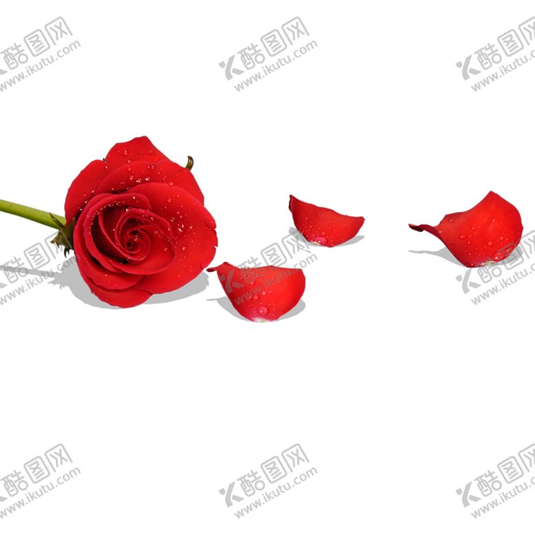 编号：18816904172359599146【酷图网】源文件下载-花边