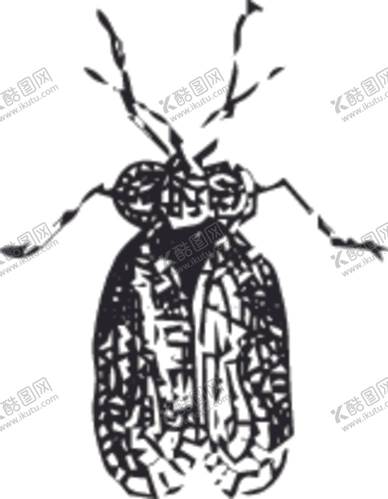 编号：34741309090458012666【酷图网】源文件下载-自然昆虫蝴蝶标本插画