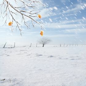 冬天下雪背景