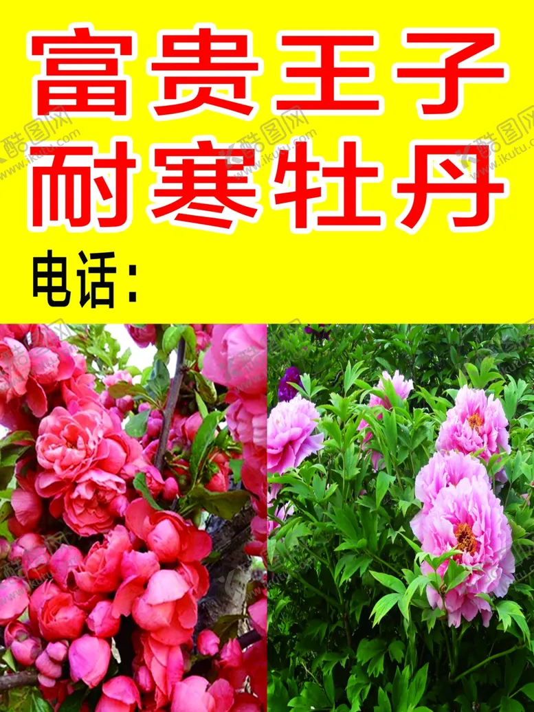 编号：22796106270612556833【酷图网】源文件下载-苗木广告