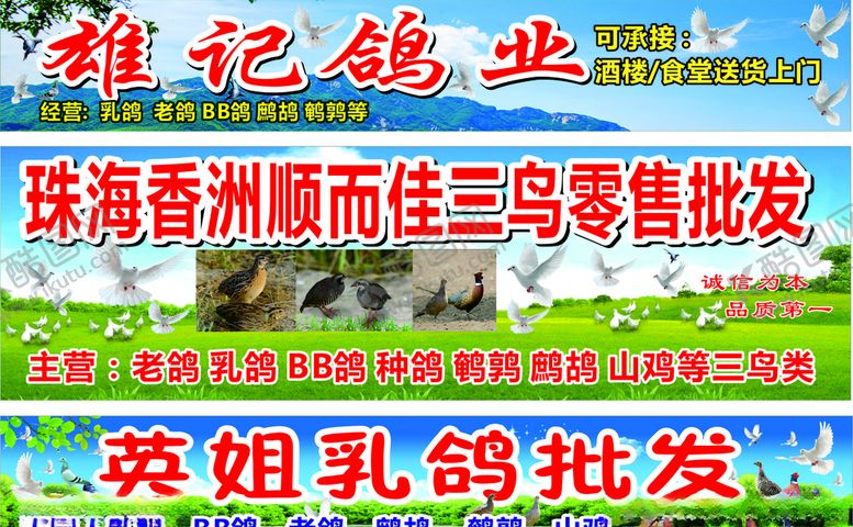 编号：32331709200603432958【酷图网】源文件下载-鸽子门头海报