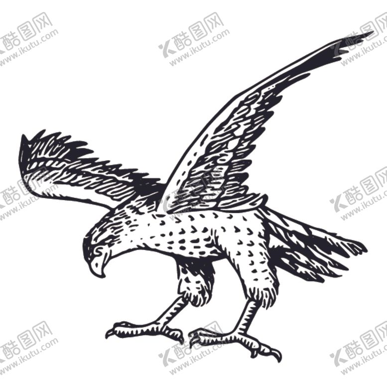 编号：38120310272251135982【酷图网】源文件下载-飞鸟线稿绘画图案