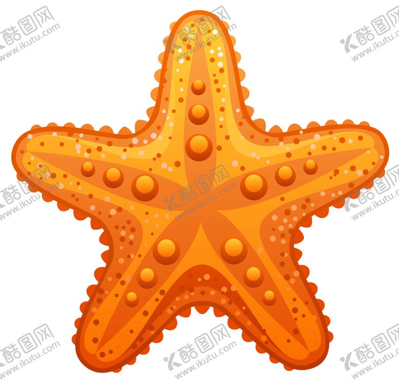编号：56769405061646183550【酷图网】源文件下载-海洋生物海星