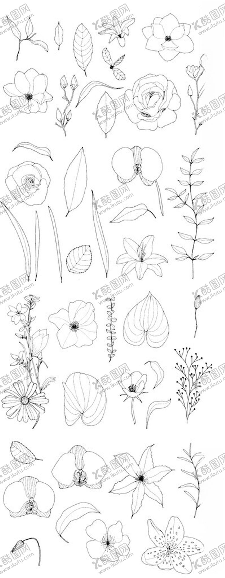 编号：98166511150138448479【酷图网】源文件下载-手绘花卉植物线稿素材