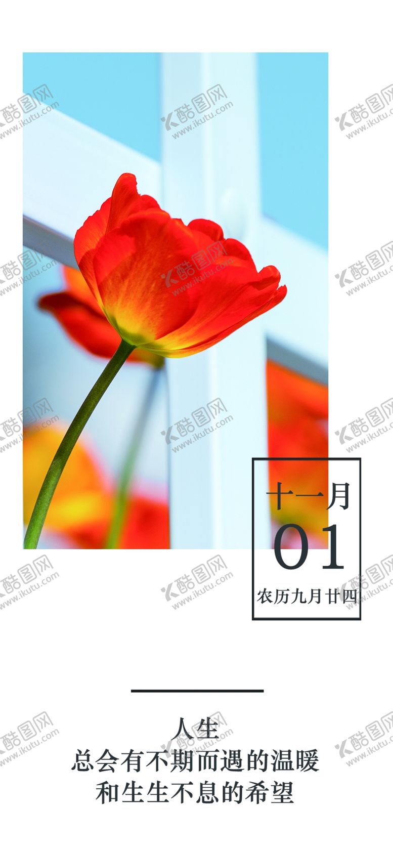 编号：56975909101550238343【酷图网】源文件下载-十一月你好