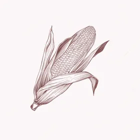 美食插画零面条薯条