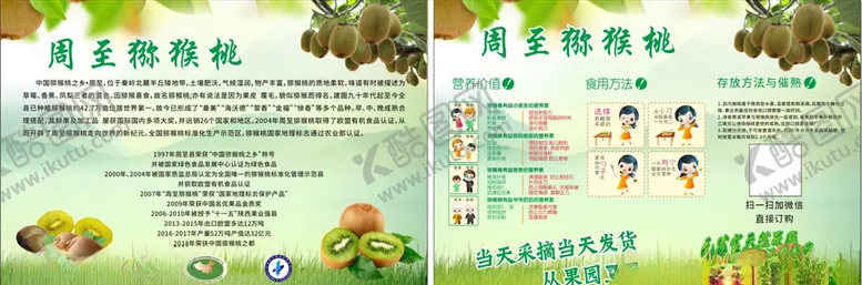 编号：28062907061912117335【酷图网】源文件下载-猕猴桃宣传单