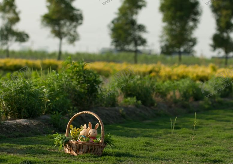 编号：83820109190306334592【酷图网】源文件下载-影楼海报