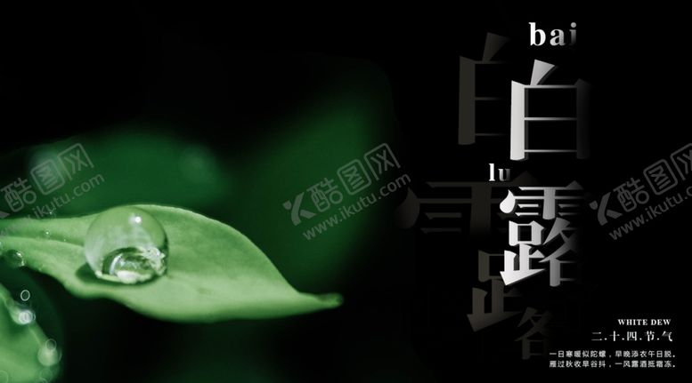 编号：81250506190225053137【酷图网】源文件下载-白露海报