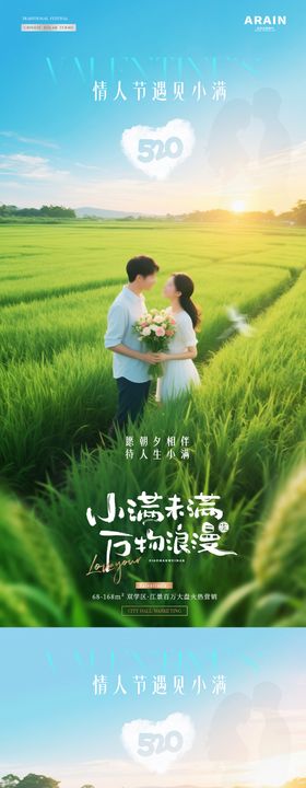 地产520情人节小满情侣风景海报