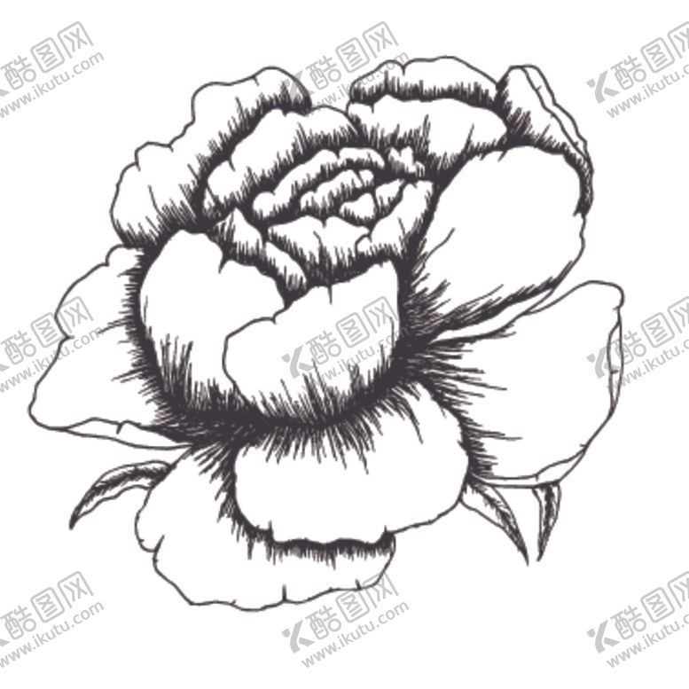 编号：88313209250001324619【酷图网】源文件下载-简笔绘画植物花朵图谱